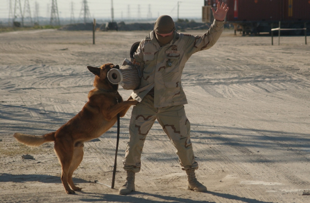 Ein Mann in militärischer Uniform spielt mit einem Hund an der Leine, während er ein Objekt hält, mit einem Zug im Hintergrund.
