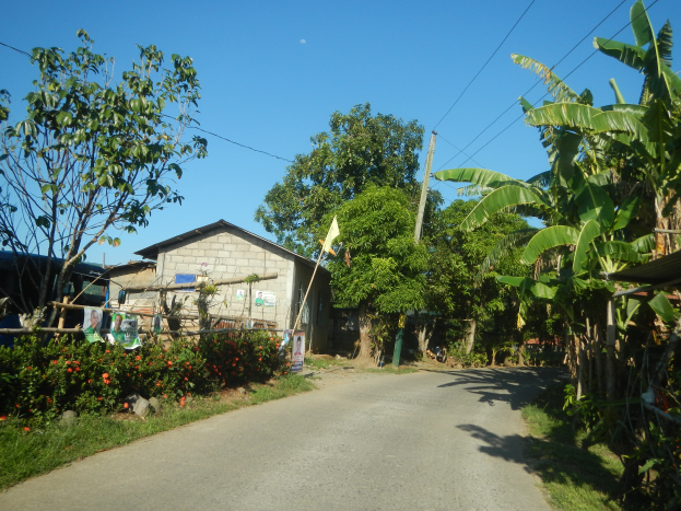 Ein kleines Dorf mit einer Straße, die hindurchführt, gesäumt von Bäumen und Pflanzen, mit Häusern, Masten, Drähten und einem klaren blauen Himmel im Hintergrund.