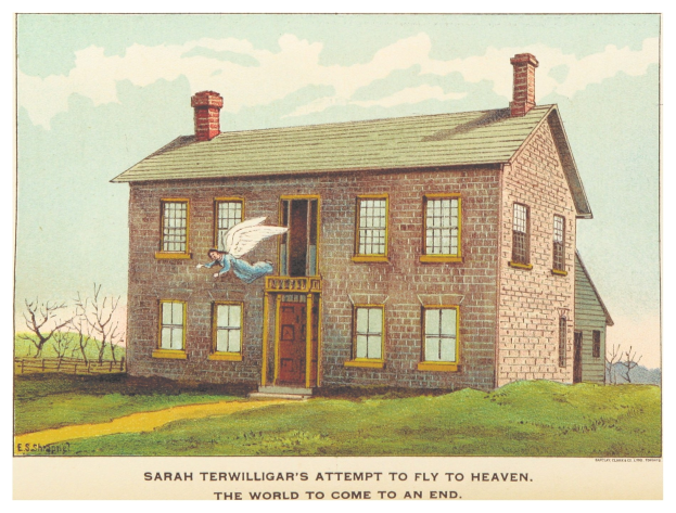 Ein Plakat zeigt Sarah Terwilligers Versuch, in den Himmel zu fliegen, mit einem zentralen Haus, umgeben von Bäumen und dem Text 'Die Welt geht zu Ende' unten.