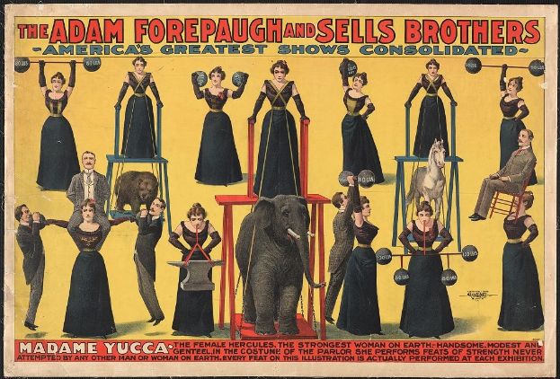 Plakat für Adam Forepaugh und Sells Brothers, Americas Greatest Shows Consolidated, mit Darstellern auf Hockern und einem Elefanten in der Mitte sowie Text.