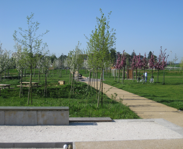 Ein parkartiger Weg, gesäumt von Bäumen und Bänken, auf dem Menschen Fahrräder fahren; im Hintergrund sind Gebäude und ein klarer blauer Himmel zu sehen, während der Boden mit saftigem Grün bewachsen ist.