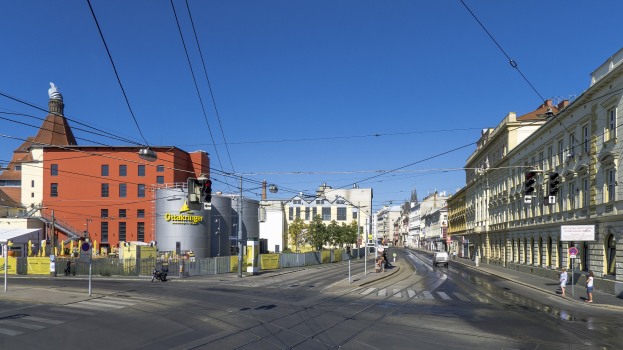 Eine Straße in der Stadt mit Gebäuden, Laternenmästen, Lichtern, Ampeln, Strommästen, Kabeln, fahrenden Fahrzeugen, Passanten auf dem Gehweg, Bäumen und Himmel im Hintergrund.