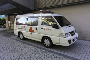 Ambulanz vor einem Gebäude mit einer Notfallfahrzeug-Schilder parkend, umgeben von Bäumen und Pflanzen.