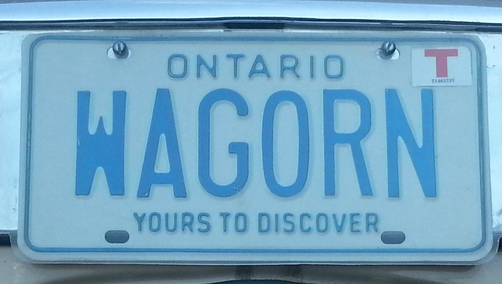 Kennzeichen an einem Auto mit der Aufschrift "Wagorn" in fetten schwarzen Buchstaben auf einem weißen Hintergrund.