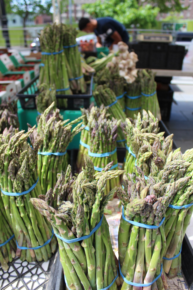 Frische Spargelbündel auf einem Bauernmarkt zum Verkauf ausgestellt, mit einer Person im Hintergrund neben Bäumen und Gebäuden unter einem klaren blauen Himmel.